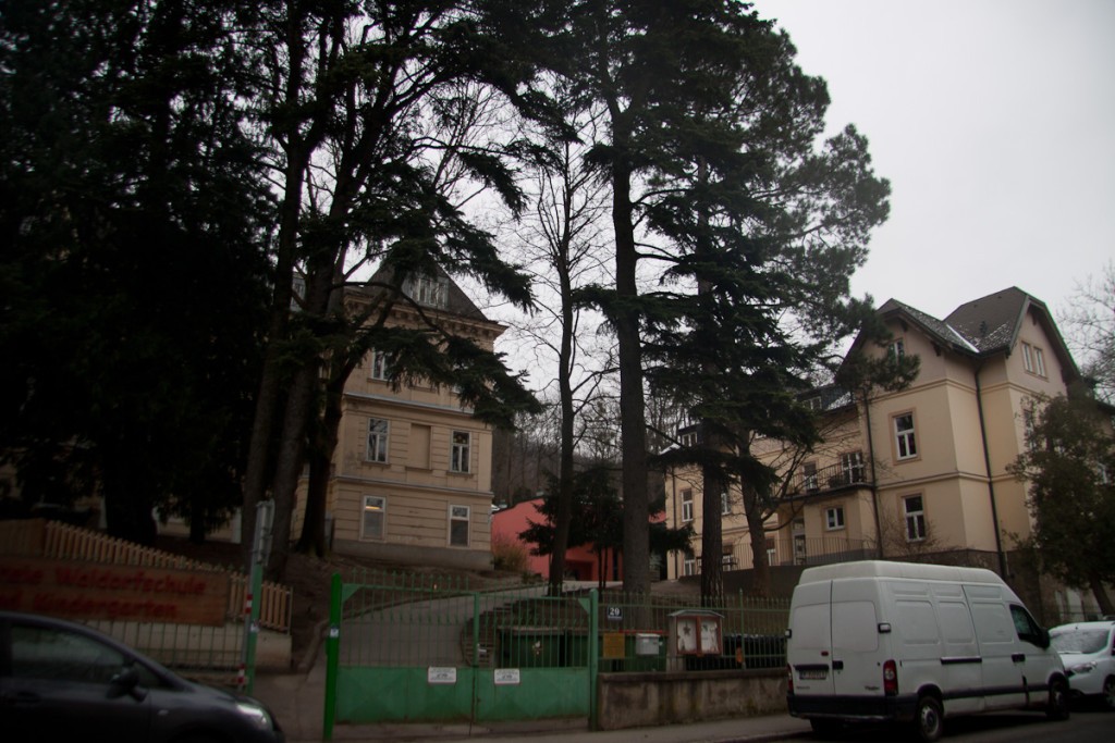 olginhaus